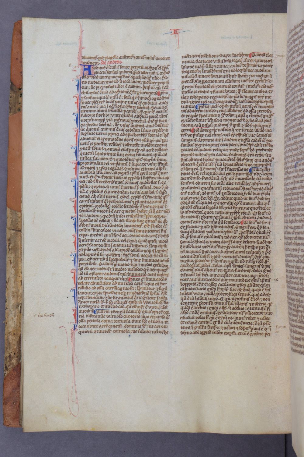 Folio 66 verso